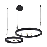 Люстра подвесная LED Slinga 4474-2P F-promo чёрная на 1 лампа, основание чёрное в стиле современный кольца