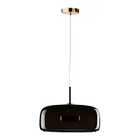 Светильник подвесной LED Dauphin 10040B LOFT IT коричневый 1 лампа, основание золотое в стиле модерн выдувное