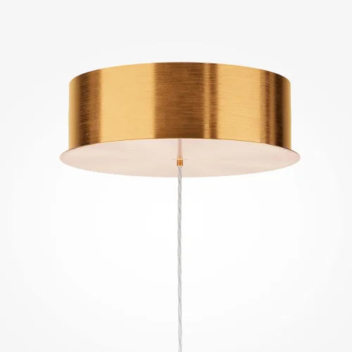 Светильник подвесной LED Plume MOD340PL-L20BS3K Maytoni прозрачный на 1 лампу, основание латунь в стиле современный минимализм линейный фото 3