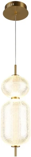 Светильник подвесной LED Cedrello OML-68816-02 Omnilux прозрачный на 1 лампу, основание латунь в стиле современный 
