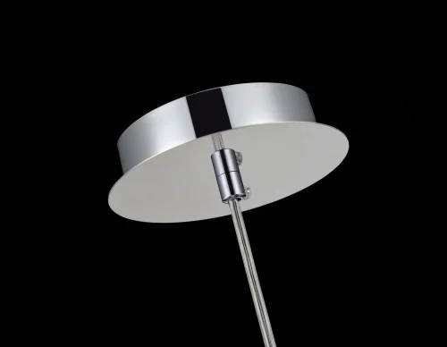 Светильник подвесной Fermi P140-PL-110-1-N Maytoni прозрачный хром 1 лампа, основание никель в стиле современный шар фото 4