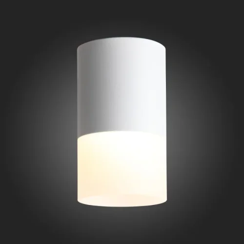 Светильник накладной LED ST100.502.10 ST-Luce белый на 1 лампу, основание белое в стиле хай-тек круглый фото 3