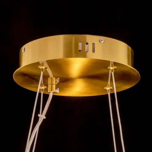 Люстра подвесная LED с пультом Рианна CL337063 Citilux прозрачная на 1 лампа, основание бронзовое в стиле современный с пультом фото 9