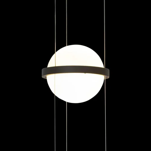 Светильник подвесной LED Jardin 10121/B LOFT IT белый 1 лампа, основание чёрное в стиле современный флористика фото 4