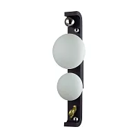 Настенный светильник уличный Luma 5434/2W Odeon Light уличный IP54 чёрный на 2 лампы, плафон белый в стиле флористика скандинавский современный G9