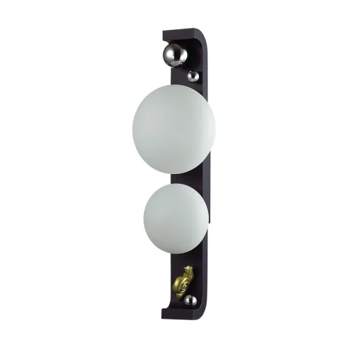 Настенный светильник уличный Luma 5434/2W Odeon Light уличный IP54 чёрный на 2 лампы, плафон белый в стиле флористика скандинавский современный G9