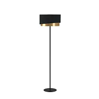 Торшер Manderline 39927 Eglo  чёрный 1 лампа, основание чёрное в стиле современный
