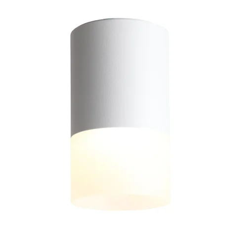 Светильник накладной LED Ottu ST100.542.05 ST-Luce белый 1 лампа, основание белое в стиле хай-тек круглый