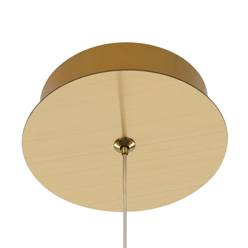 Светильник подвесной LED Signature CL247051 Citilux прозрачный на 1 лампу, основание бронзовое в стиле современный флористика фото 4