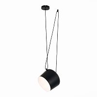 Светильник подвесной Trieste SLE120643-01 Evoluce чёрный 1 лампа, основание чёрное в стиле лофт 