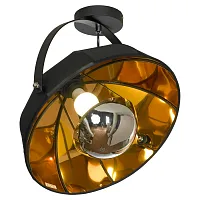 Светильник потолочный Klamath LSP-0556-C Lussole золотой чёрный 1 лампа, основание чёрное в стиле лофт 