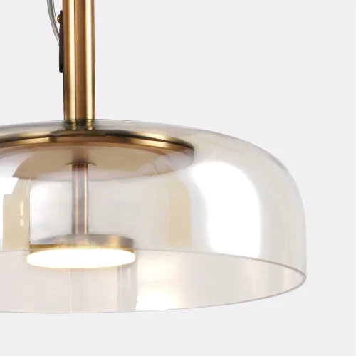 Светильник подвесной LED Brandy 4258-1P Favourite прозрачный на 1 лампу, основание латунь в стиле современный фото 3