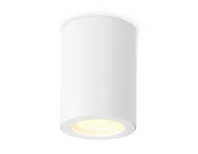 Светильник накладной TN22797 Ambrella light белый 1 лампа, основание белое в стиле хай-тек современный круглый