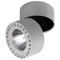 Светильник накладной LED Forte 381394 Lightstar серый 1 лампа, основание серое в стиле хай-тек современный круглый