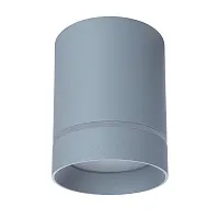 Светильник накладной LED Elle A1909PL-1GY Arte Lamp серый 1 лампа, основание серое в стиле современный круглый