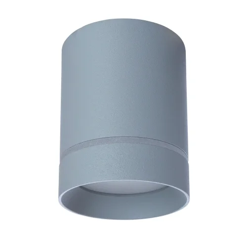 Светильник накладной LED Elle A1909PL-1GY Arte Lamp серый 1 лампа, основание серое в стиле современный круглый