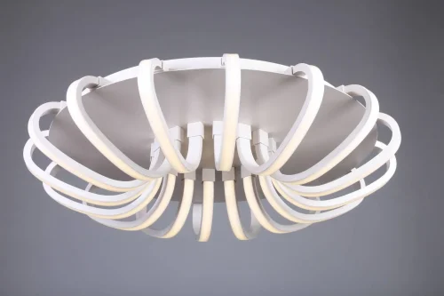 Люстра с пультом LED Furtei OML-48107-112 Omnilux белая на 1 лампу, основание белое в стиле хай-тек с пультом фото 3