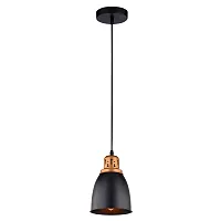 Светильник подвесной лофт Eurica A4248SP-1BK Arte Lamp чёрный 1 лампа, основание чёрное в стиле лофт 
