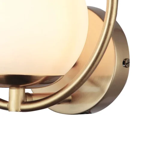 Бра Oportet 2786-1W F-promo белый на 1 лампа, основание золотое в стиле современный  фото 2
