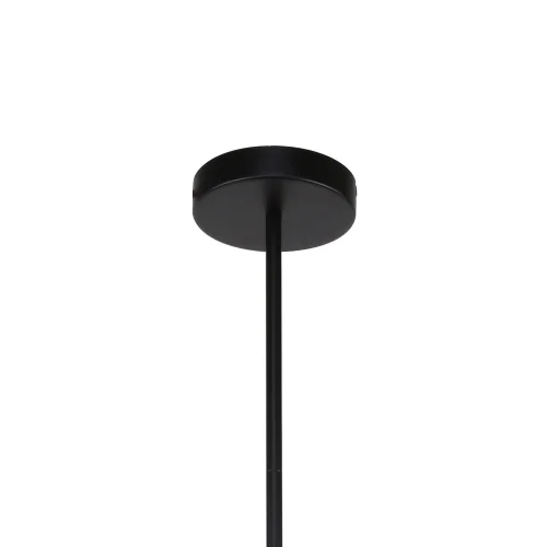 Люстра на штанге Sheeny 3088-10P F-promo серая чёрная на 10 ламп, основание чёрное в стиле современный шар фото 3