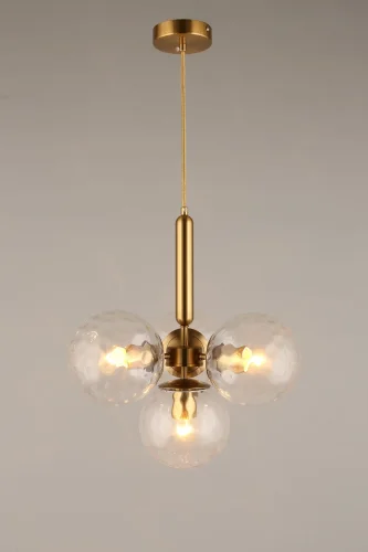 Светильник подвесной Lora APL.728.06.04 Aployt прозрачный 4 лампы, основание латунь в стиле современный лофт шар фото 4