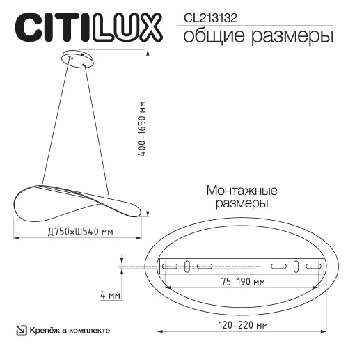 Светильник подвесной LED с пультом Skatt CL213132 Citilux прозрачный на 1 лампу, основание латунь в стиле хай-тек современный с пультом фото 4