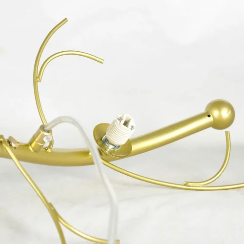 Светильник подвесной LSP-8748 Lussole белый 6 ламп, основание матовое золото в стиле модерн флористика  фото 5