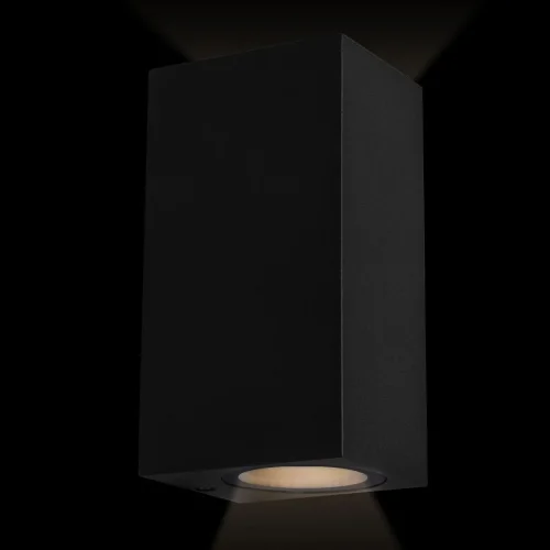 Настенный светильник Eterno 100007/B LOFT IT уличный IP54 чёрный 2 лампы, плафон чёрный в стиле современный хай-тек GU10 фото 2