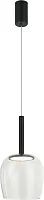 Светильник подвесной LED Luxori 4026/02/01P Stilfort прозрачный на 1 лампу, основание чёрное в стиле современный 