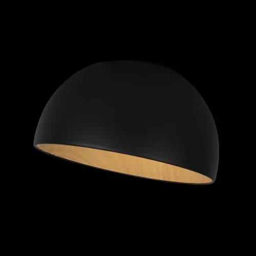 Светильник потолочный LED Egg 10197/350 Black LOFT IT белый чёрный коричневый 1 лампа, основание коричневое чёрное в стиле современный  фото 5