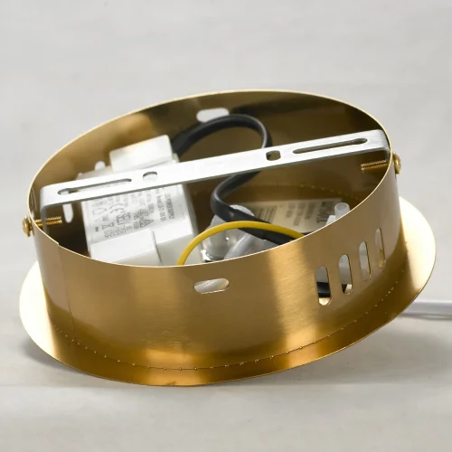 Светильник подвесной LED LSP-8694 Lussole белый 1 лампа, основание матовое золото в стиле хай-тек кольца фото 5