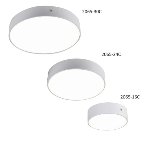 Светильник накладной LED Flashled 2065-24C Favourite белый 1 лампа, основание белое в стиле современный круглый фото 2