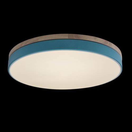 Светильник потолочный LED Axel 10001/36 Blue LOFT IT белый 1 лампа, основание бежевое голубое в стиле современный  фото 5