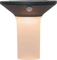 Настенный светильник LED на солнечной батарее Corbezzola 900243 Eglo уличный IP44 графит 6 ламп, плафон белый в стиле современный LED