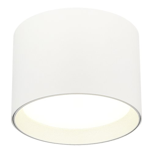 Светильник накладной ST163.502.01.02 ST-Luce на 1 лампу, основание белое в стиле современный круглый