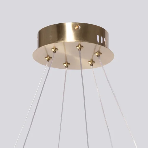 Люстра подвесная LED Толедо 312014302 DeMarkt прозрачная на 1 лампа, основание латунь в стиле хай-тек  фото 9