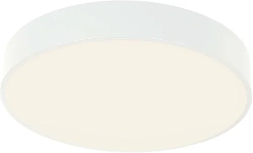 Светильник потолочный LED Arena 4683-4C F-promo белый на 1 лампу, основание белое в стиле современный круглый