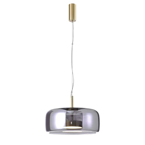 Светильник подвесной LED Reflex 4234-2P Favourite серый на 1 лампу, основание матовое золото в стиле современный 