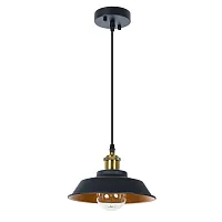 Светильник подвесной Cappello A7038SP-1BK Arte Lamp чёрный 1 лампа, основание чёрное в стиле лофт модерн 