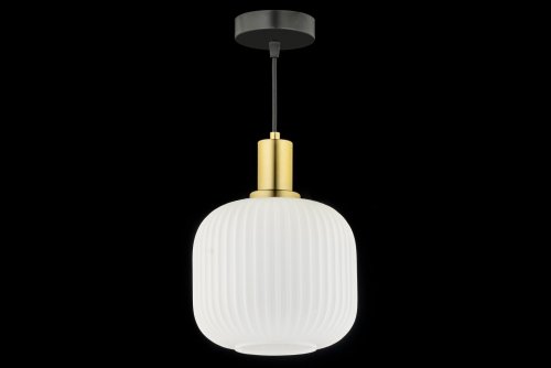 Светильник подвесной Delebio E 1.P1 W Arti Lampadari белый 1 лампа, основание чёрное в стиле современный  фото 3