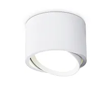 Светильник накладной TN6805 Ambrella light белый 1 лампа, основание белое в стиле современный хай-тек круглый