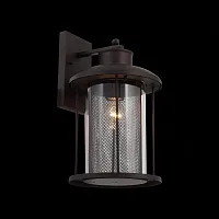 Настенный светильник уличный Lastero SL080.401.01 ST-Luce уличный IP44 коричневый на 1 лампу, плафон прозрачный в стиле классический E27