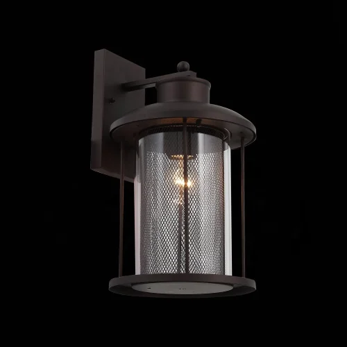 Настенный светильник уличный Lastero SL080.401.01 ST-Luce уличный IP44 коричневый на 1 лампу, плафон прозрачный в стиле классический E27