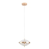 Светильник подвесной LED Andromeda A2089SP-6GO Arte Lamp прозрачный на 1 лампу, основание золотое в стиле современный выдувное