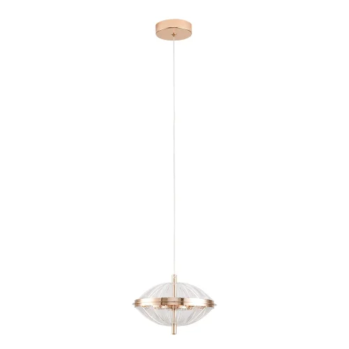 Светильник подвесной LED Andromeda A2089SP-6GO Arte Lamp прозрачный на 1 лампу, основание золотое в стиле современный выдувное