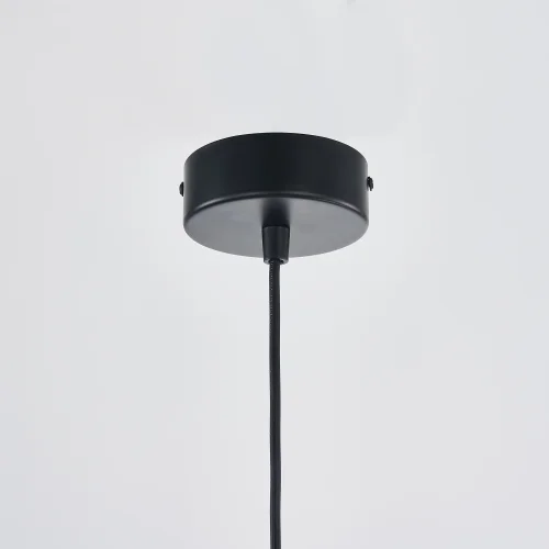 Светильник подвесной LED Castled 4009-2P Favourite чёрный 2 лампы, основание чёрное в стиле современный  фото 4