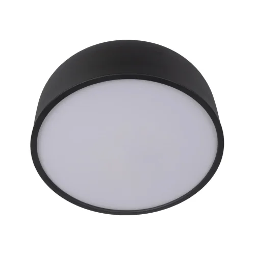 Светильник потолочный LED Axel 10201/350 Black LOFT IT белый чёрный 1 лампа, основание чёрное в стиле современный  фото 3