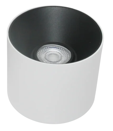 Светильник накладной Alfa LED C064CL-01-15W4K-RD-WB Maytoni белый 1 лампа, основание белое в стиле модерн круглый