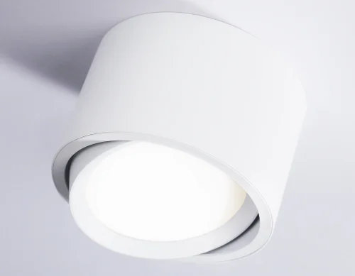Светильник накладной TN6805 Ambrella light белый 1 лампа, основание белое в стиле современный хай-тек круглый фото 4