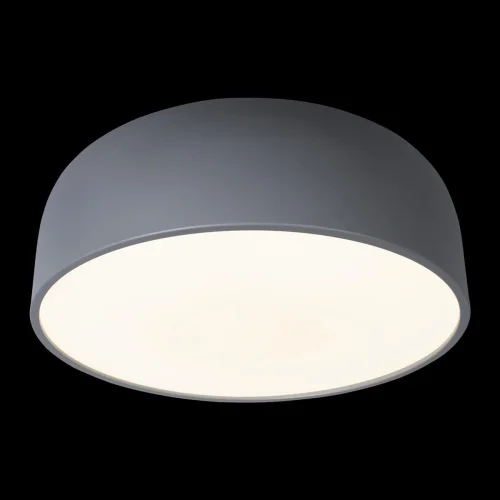Светильник потолочный LED Axel 10201/480 Grey LOFT IT белый серый 1 лампа, основание серое в стиле современный  фото 4